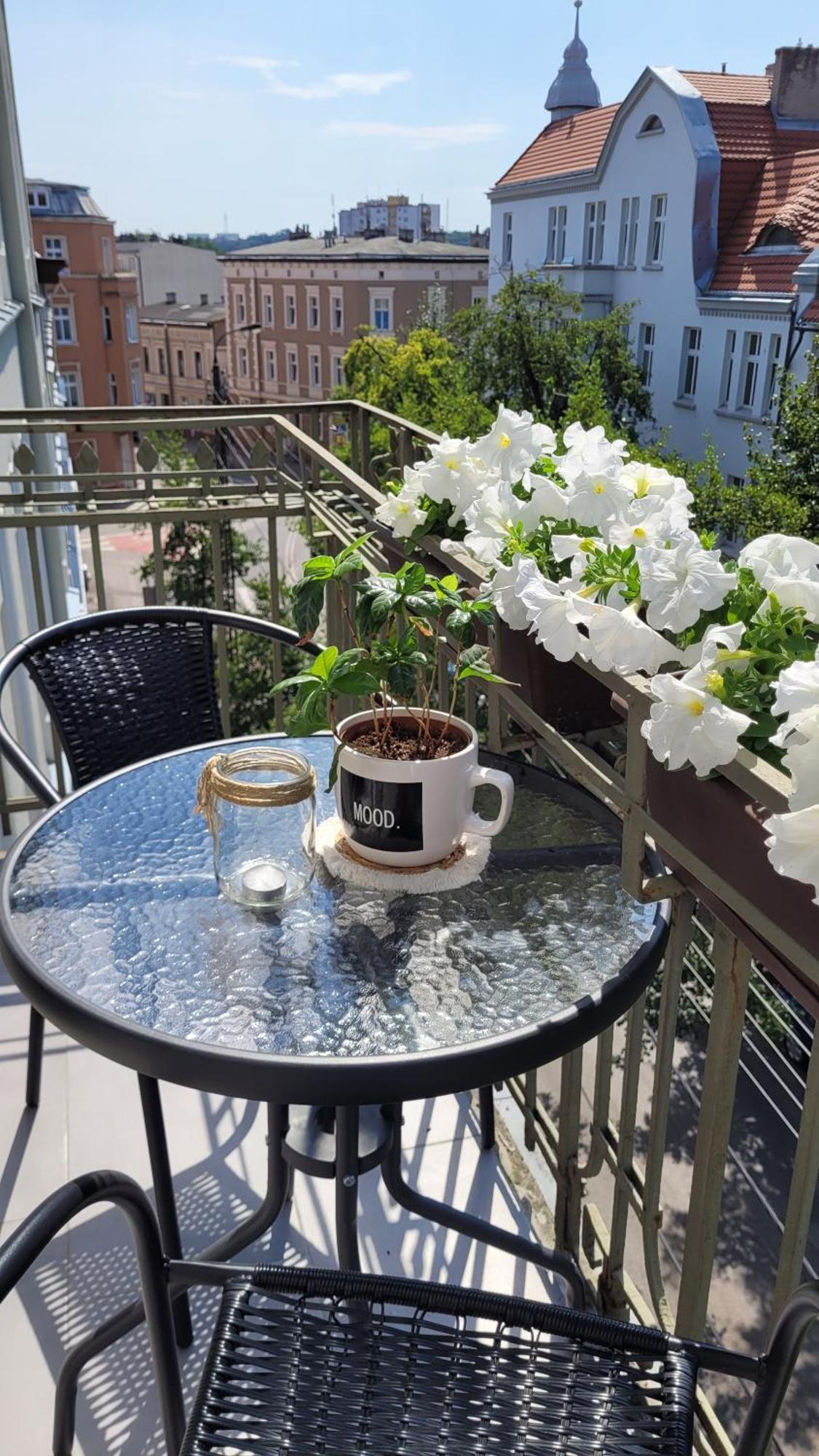Klimatyczny Apartament W Sercu Bydgoszczy 外观 照片